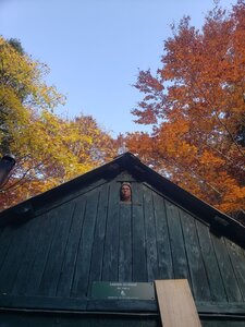 Chantier TàP Pison octobre 2025, IMG_20251022_223848_279