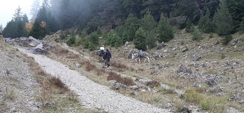 Chantier TàP Pison octobre 2025, 20251022_160254