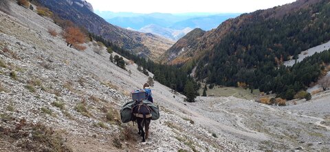 Chantier TàP Pison octobre 2025, 20251022_141147