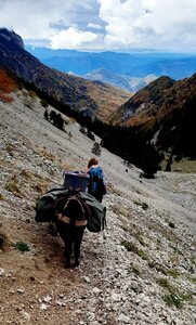 Chantier TàP Pison octobre 2025, 20251022_141143