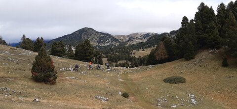 Chantier TàP Pison octobre 2025, 20251022_130602