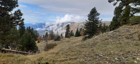 Chantier TàP Pison octobre 2025, 20251022_124311