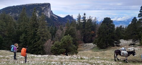 Chantier TàP Pison octobre 2025, 20251022_122557