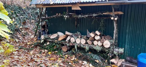 Chantier TàP Pison octobre 2025, 20251022_113453