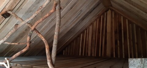 Chantier TàP Pison octobre 2025, 20251022_113228