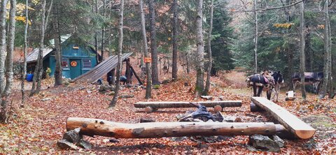 Chantier TàP Pison octobre 2025, 20251022_112911