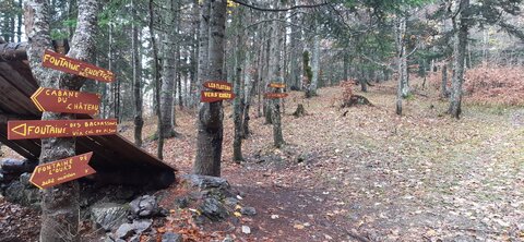 Chantier TàP Pison octobre 2025, 20251022_111923