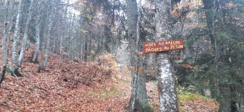 Chantier TàP Pison octobre 2025, 20251021_160427