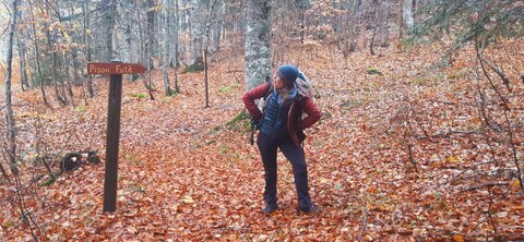 Chantier TàP Pison octobre 2025, 20251021_160154