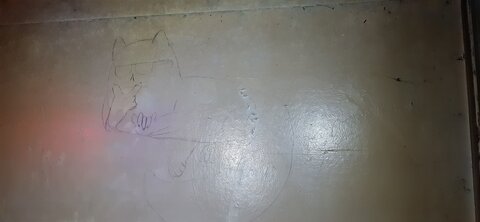 Chantier TàP Pison octobre 2025, 20251019_004144