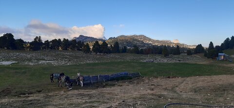 Chantier TàP Pison octobre 2025, 20251018_174314