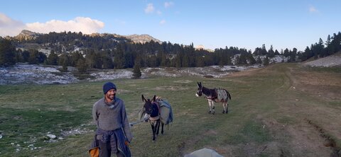 Chantier TàP Pison octobre 2025, 20251018_173146