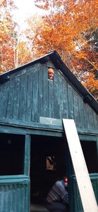 Chantier TàP Pison octobre 2025, 20251018_161800