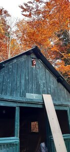 Chantier TàP Pison octobre 2025, 20251018_161749