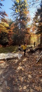 Chantier TàP Pison octobre 2025, 20251018_153114