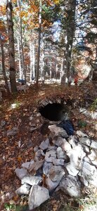 Chantier TàP Pison octobre 2025, 20251018_152242