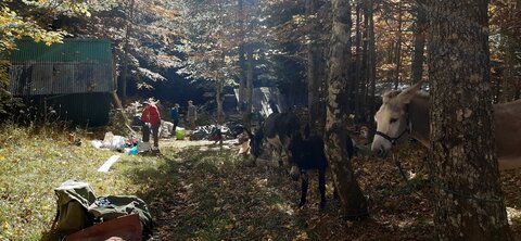 Chantier TàP Pison octobre 2025, 20251018_124124