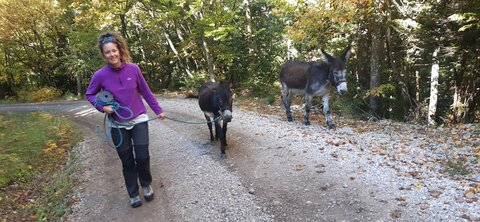 Chantier TàP Pison octobre 2025, 20251017_130821