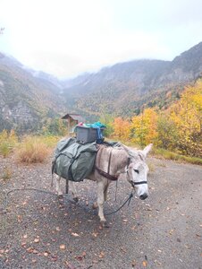Chantier TàP Pison octobre 2025, IMG_20251022_171738