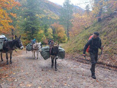 Chantier TàP Pison octobre 2025, IMG_20251022_165504