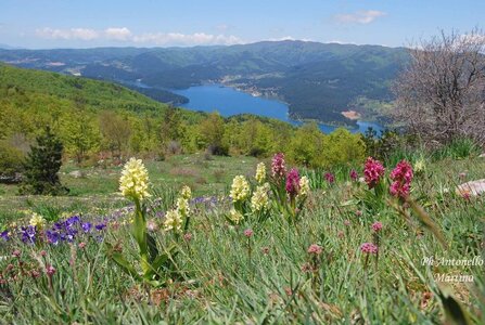 1996-Calabre_prepa, 992-Silla-03