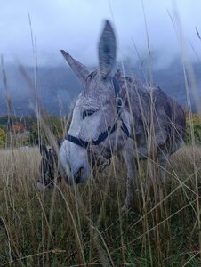 Chantier TàP Pison octobre 2025, IMG_20251022_182701