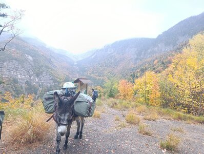 Chantier TàP Pison octobre 2025, IMG_20251022_171715