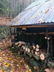 Chantier TàP Pison octobre 2025, IMG_20251022_113037