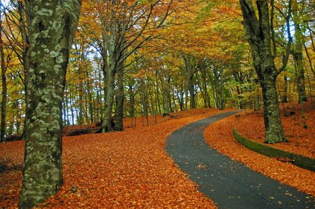 1996-Calabre_prepa, 976-Serre-02