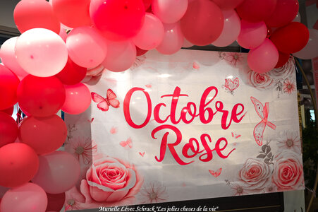 Octobre Rose 2025 aux Résidentiels de St-Brevin-les-Pins par @Murielle Lévec Schrack « Les jolies choses de la vie », DSC_4423