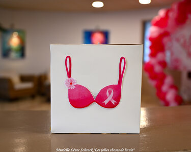 Octobre Rose 2025 aux Résidentiels de St-Brevin-les-Pins par @Murielle Lévec Schrack « Les jolies choses de la vie », DSC_4428