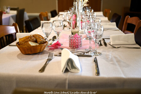 Octobre Rose 2025 aux Résidentiels de St-Brevin-les-Pins par @Murielle Lévec Schrack « Les jolies choses de la vie », DSC_4767