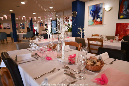 Octobre Rose 2025 aux Résidentiels de St-Brevin-les-Pins par @Murielle Lévec Schrack « Les jolies choses de la vie », DSC_4784