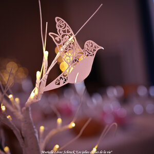 Octobre Rose 2025 aux Résidentiels de St-Brevin-les-Pins par @Murielle Lévec Schrack « Les jolies choses de la vie », DSC_4801