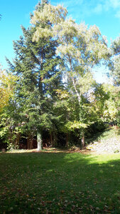 Blanhac-Toussaint-2025, IMG_20251026_143227_516