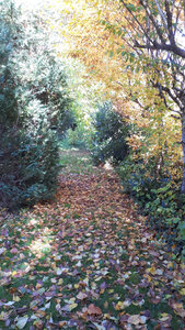 Blanhac-Toussaint-2025, IMG_20251026_143227_642