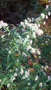 Blanhac-Toussaint-2025, IMG_20251026_143228_122