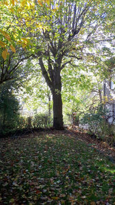 Blanhac-Toussaint-2025, Image3322206278380699807