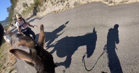 Chantier TàP Pison octobre 2025, IMG_7873