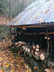 Chantier TàP Pison octobre 2025, IMG_20251022_113037