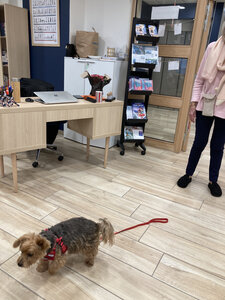 Octobre Rose 2025 aux Résidentiels de Royan, IMG_0095