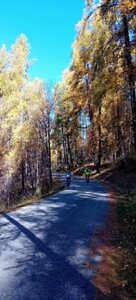 2025-10-28 Col des Champs, 6