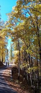 2025-10-28 Col des Champs, 7