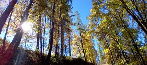 2025-10-28 Col des Champs, 8