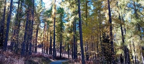 2025-10-28 Col des Champs, 12