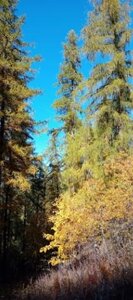 2025-10-28 Col des Champs, 13