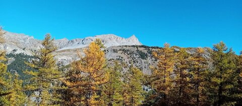 2025-10-28 Col des Champs, 14