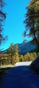 2025-10-28 Col des Champs, 15