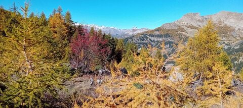 2025-10-28 Col des Champs, 16