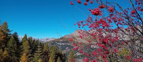 2025-10-28 Col des Champs, 17